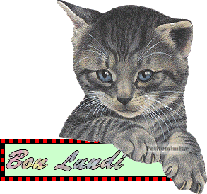 Gif animé Bon lundi chat